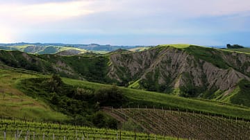 marta valpiani castrocaro