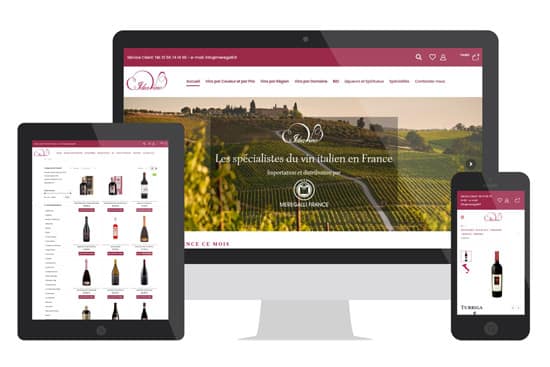 vendere vino online