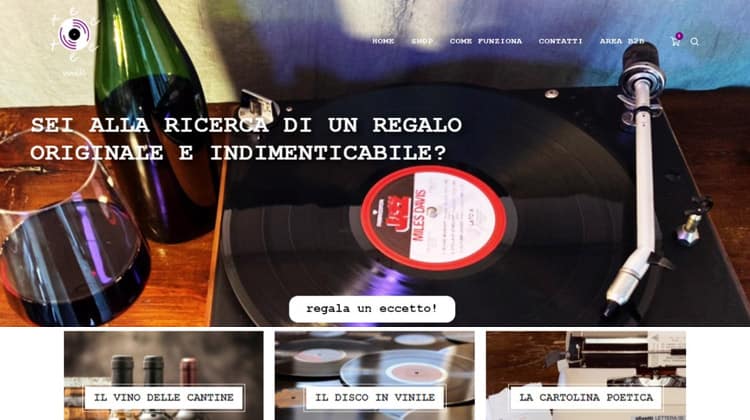 eccetto vinili vini