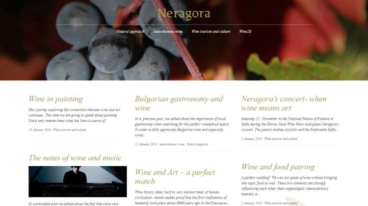 blog di neragora